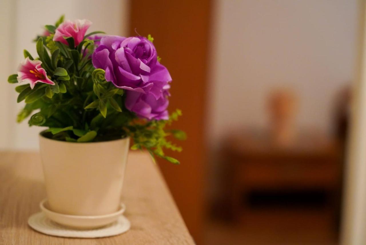 Apartment Lola スプリト エクステリア 写真
